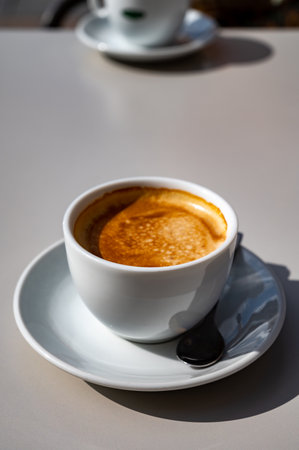 From City to French Roast: Decoding the Spectrum of Roast Terminology