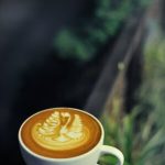 What Happens After the Brew? Exploring the Lifecycle of Coffee Grounds in a Sustainable America