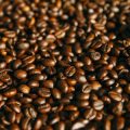 The Environmental Impact of Fair Trade Coffee Farming