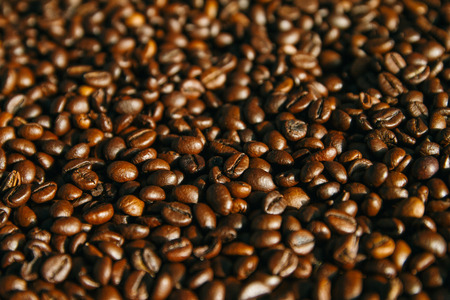 The Environmental Impact of Fair Trade Coffee Farming