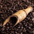Coffee Processing and Fair Trade: Connecting Farmers and U.S. Consumers