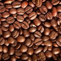 Economic Realities for Farmers: Choosing Between Organic and Conventional Coffee Production