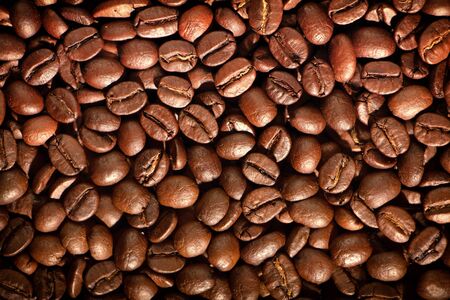 Economic Realities for Farmers: Choosing Between Organic and Conventional Coffee Production