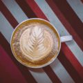 Top 10 Pet-Friendly Cafes in the United States and What Makes Them Stand Out