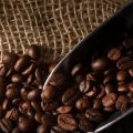 Decoding the Labels: What Makes a Coffee Brand Truly Carbon-Neutral in the U.S. Market?