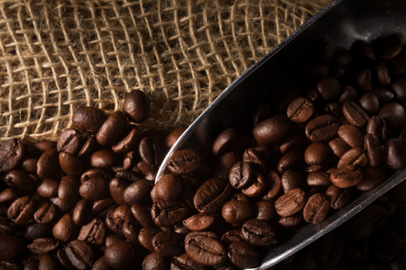 Decoding the Labels: What Makes a Coffee Brand Truly Carbon-Neutral in the U.S. Market?