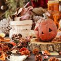 Seasonal Pet Events at U.S. Coffee Shops: Halloween Costumes to Holiday Latte Specials