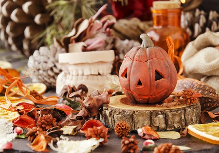 Seasonal Pet Events at U.S. Coffee Shops: Halloween Costumes to Holiday Latte Specials