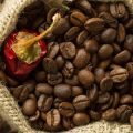 A Deep Dive into Coffee Roasting Equipment: What You Really Need and Why
