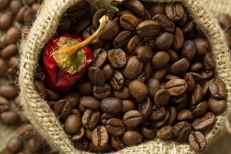 A Deep Dive into Coffee Roasting Equipment: What You Really Need and Why