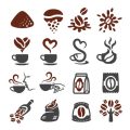 The Science of Coffee Bean Roasting: From Green to Brewed in American Cafés