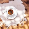 Exploring Coffee Terroir: How Geography Shapes Taste