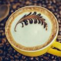 Beyond the Beans: How Seasonal Coffees Reflect American Consumer Behavior