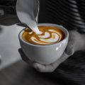 Etiquette and Expectations: The Unwritten Rules of Working in American Coffee Shops
