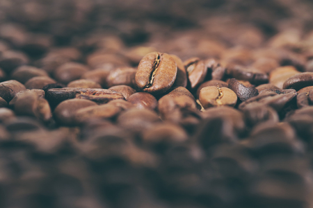 Norway’s Coffee Capital: How Oslo Became a Powerhouse in Global Coffee